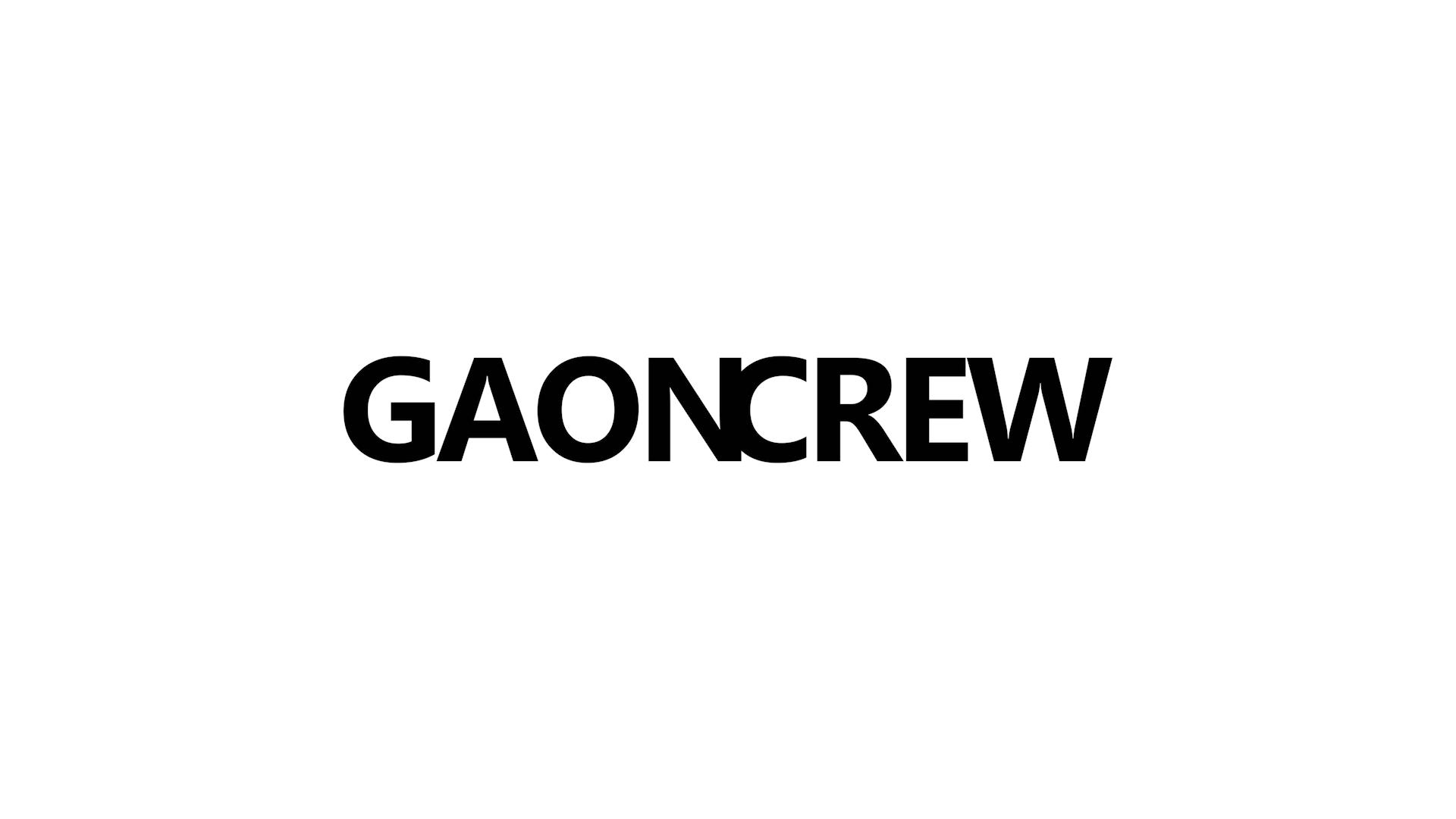 GAON CREW 20AW 特殊材质内嵌透明PVC小挎包